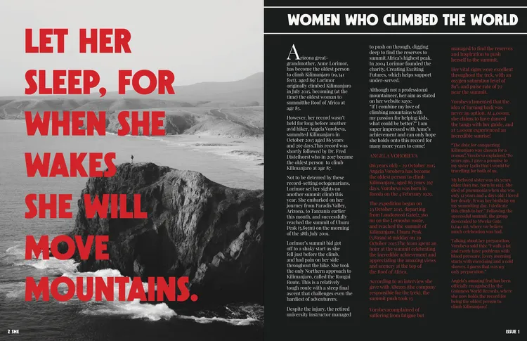 SHE, image 4
