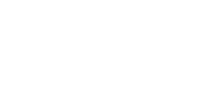 Birdie Designs